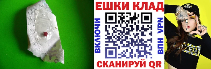 Ecstasy Philipp Plein  Купить где  Лангепас 