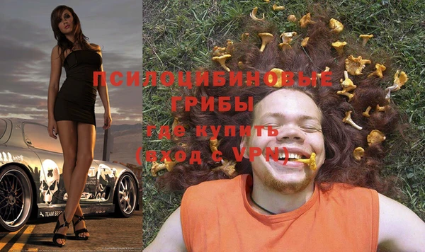 дмт Дмитровск