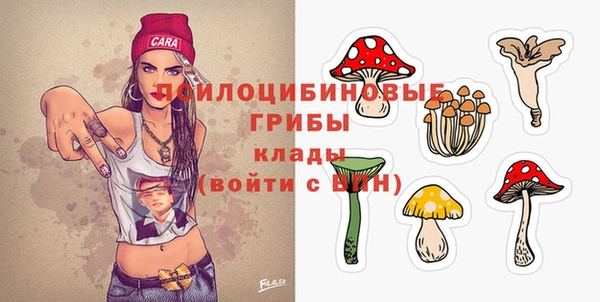 дмт Дмитровск