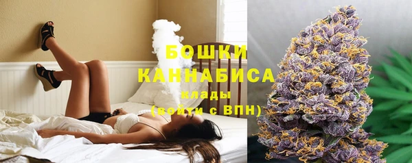 ECSTASY Дмитров