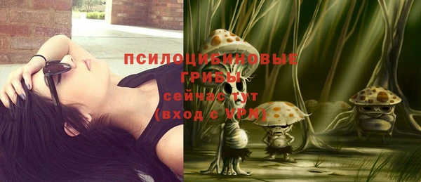 наркотики Дмитриев