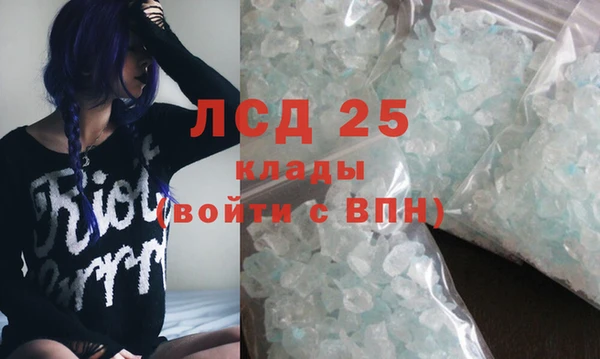 2c-b Ельня